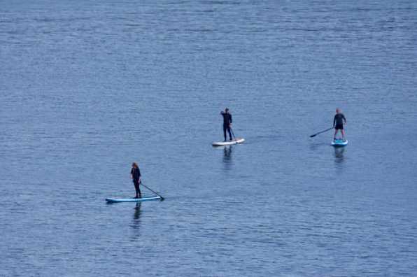 24 May 2020 - 10-54-06 
Same three as before (alongside the Embankment)
------------------
Dartmouth paddle boarding.